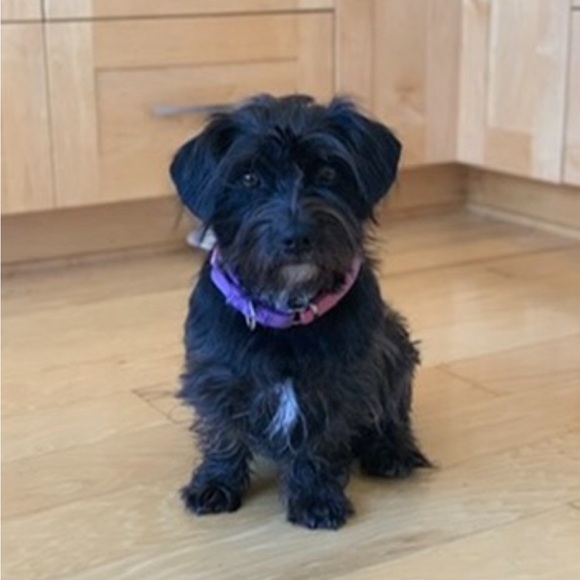 Meet your Posher, Meg! - Picture 2 of 5